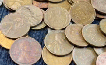 The $336,000 Wheat Penny
