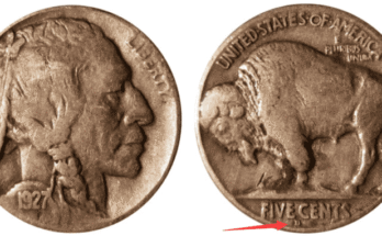 1927-Buffalo-Nickel