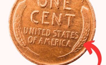 1919 Lincoln Wheat Penny