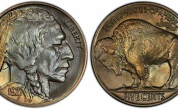1927-Buffalo-Nickel-Value