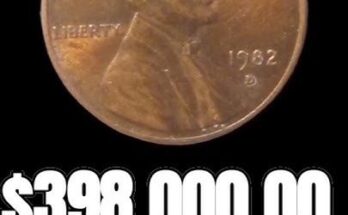 398,000.00 for a Penny
