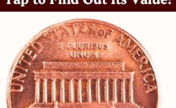 1979 No Mint Mark Penny Worth $5,580