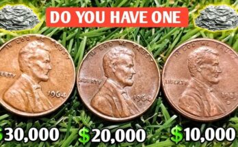 Top 3 Most Valuable Lincoln Pennies Worth 10 , 000 t o 10,000to30,000+