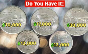 State Quarter Errors Worth 10 , 000 − 10,000−30,000: The Ultimate Collector's Guide