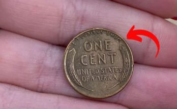 Rare Lincoln Penny