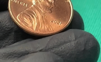 2021 Penny Error Worth