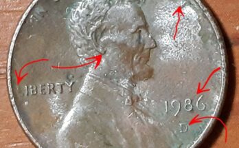 a 1986-D Penny