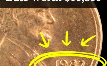 1982-D penny