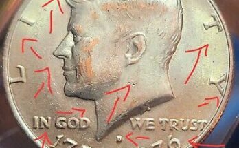 Bicentennial Kennedy