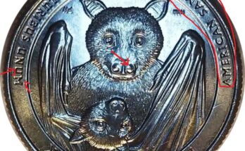 Smashed Face" Bat Quarter