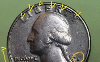 Bicentennial Quarter Value