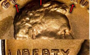 Doubled Die Penny