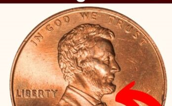 Of course. Based on your image of the 1999 Lincoln Penny and the incredible $100,000 valuation, here is a detailed article built around a legendary "mule" error. 💰 $100,000 for a 1999 Penny