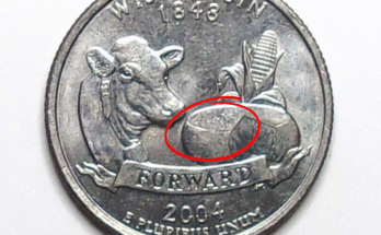 2004 WISCONSIN QUARTER